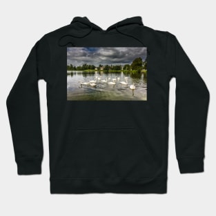 Mute Swans on Carlingwark Loch Photograph Castle Douglas Dumfries and Galloway Hoodie